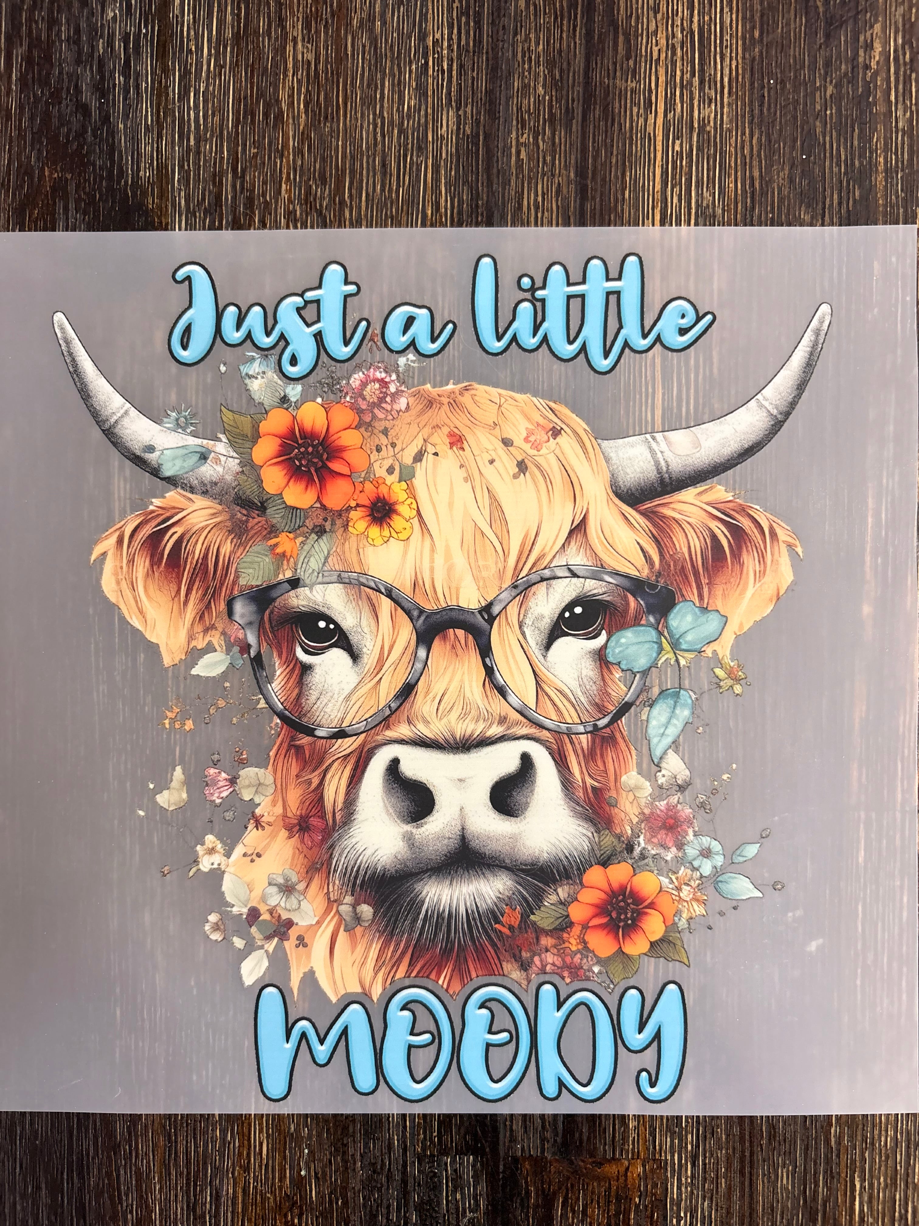 Highland Cow DTF Transfers