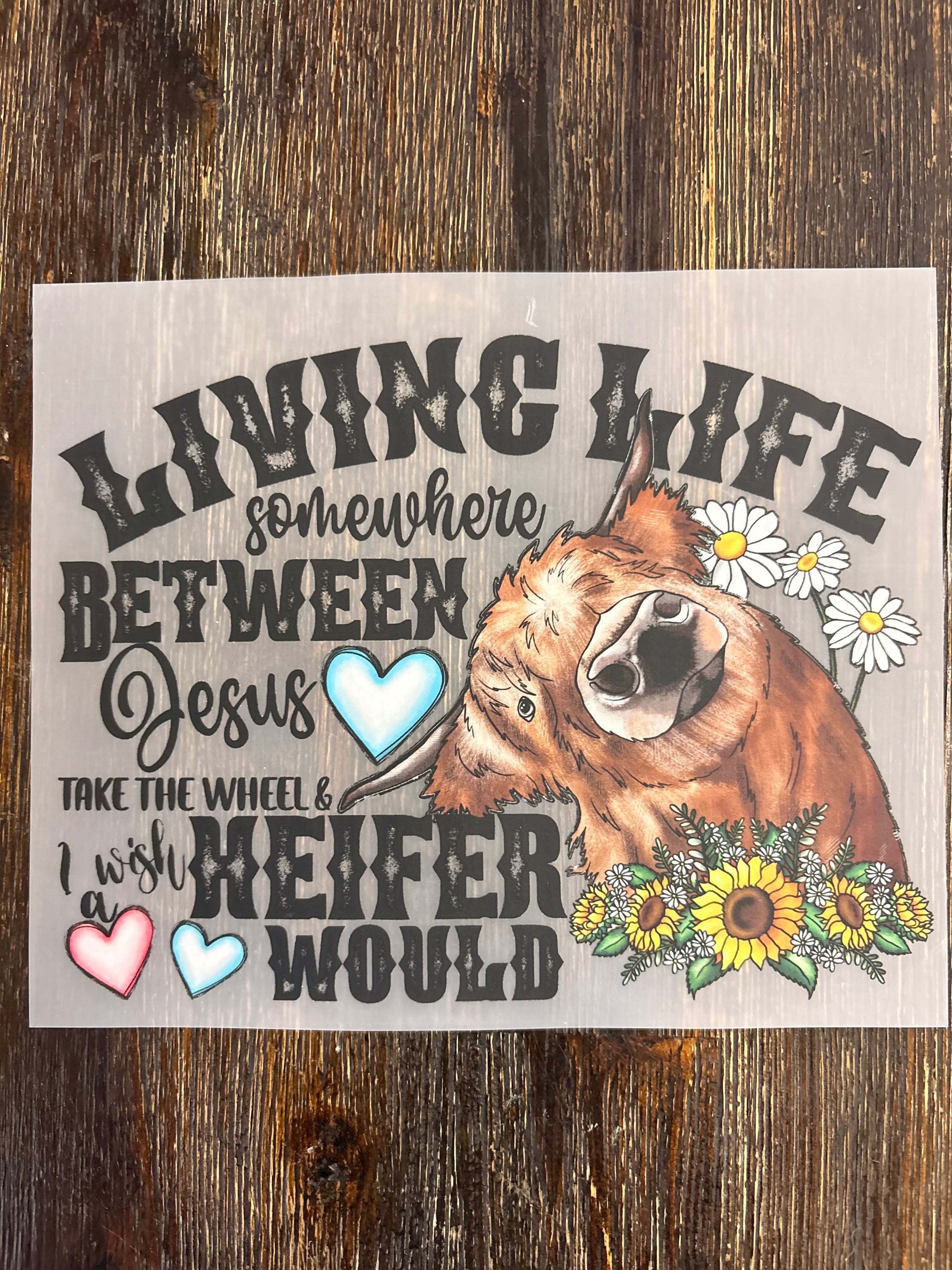 Highland Cow DTF Transfers
