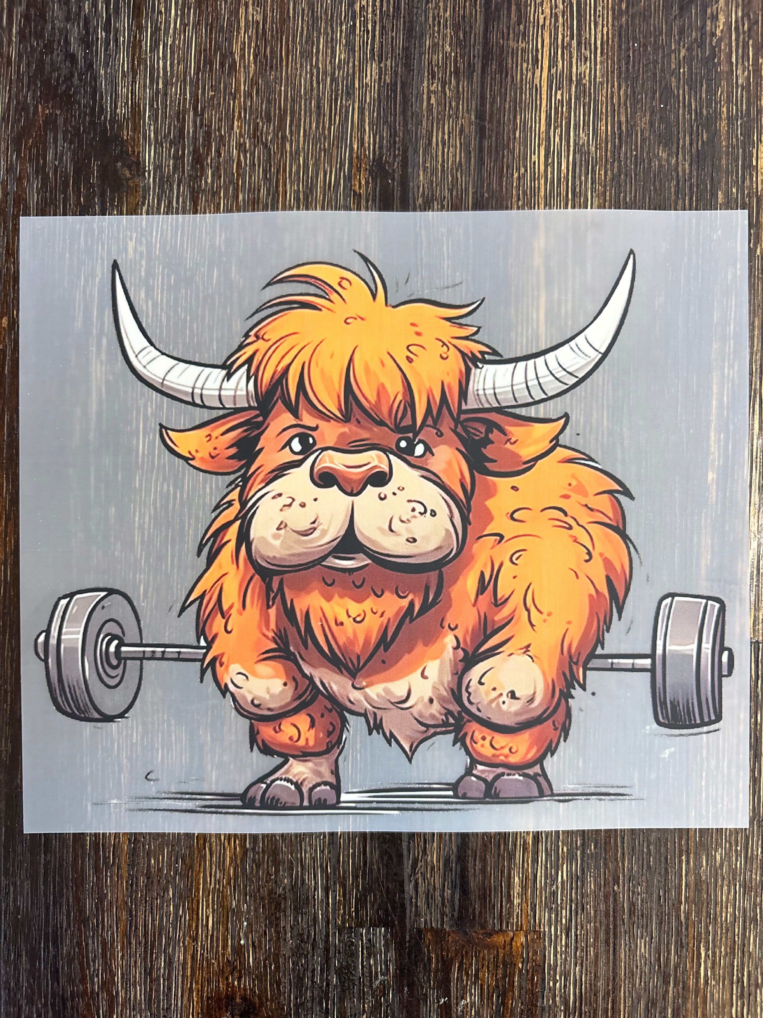 Highland Cow DTF Transfers