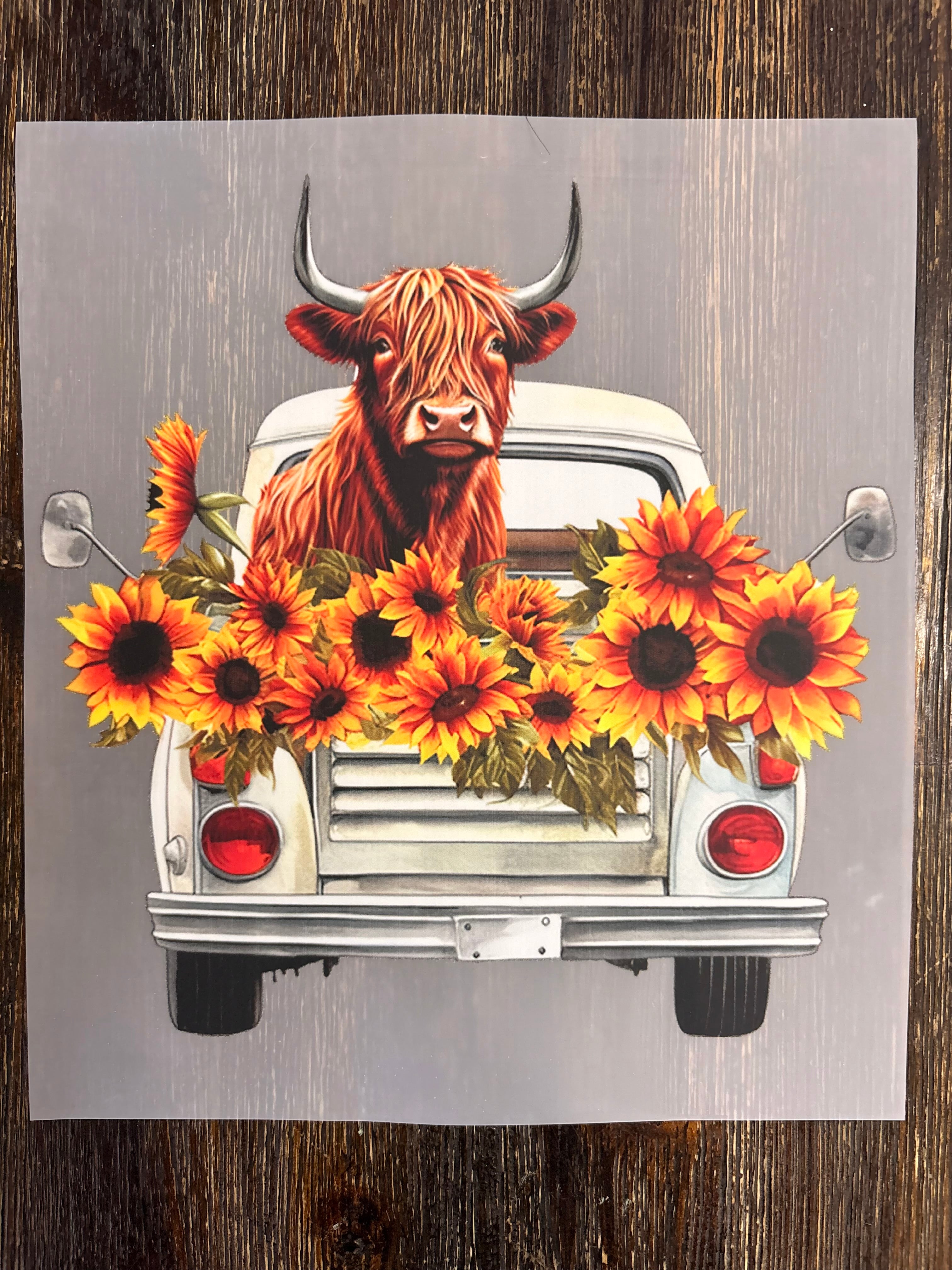 Highland Cow DTF Transfers