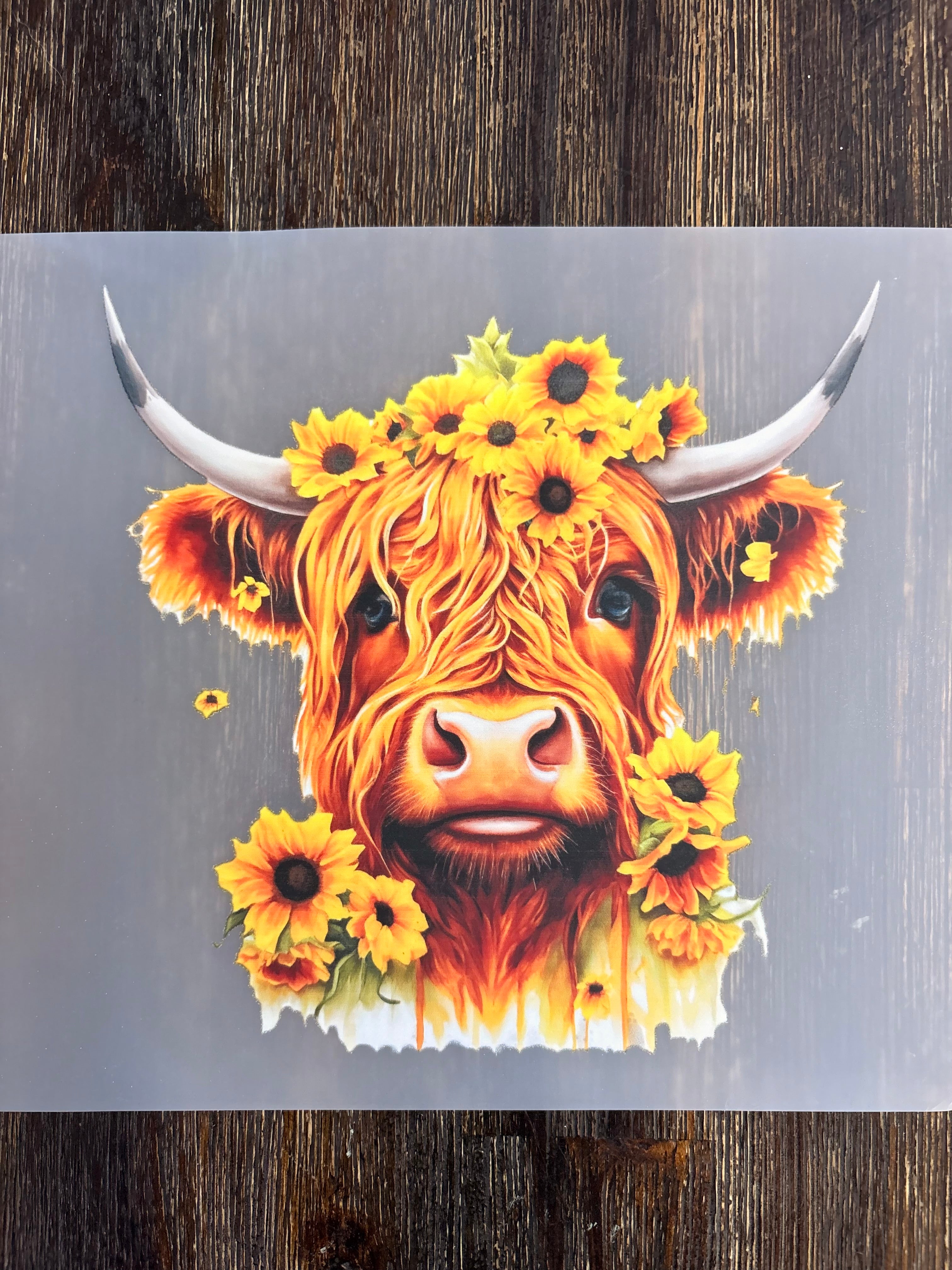 Highland Cow DTF Transfers