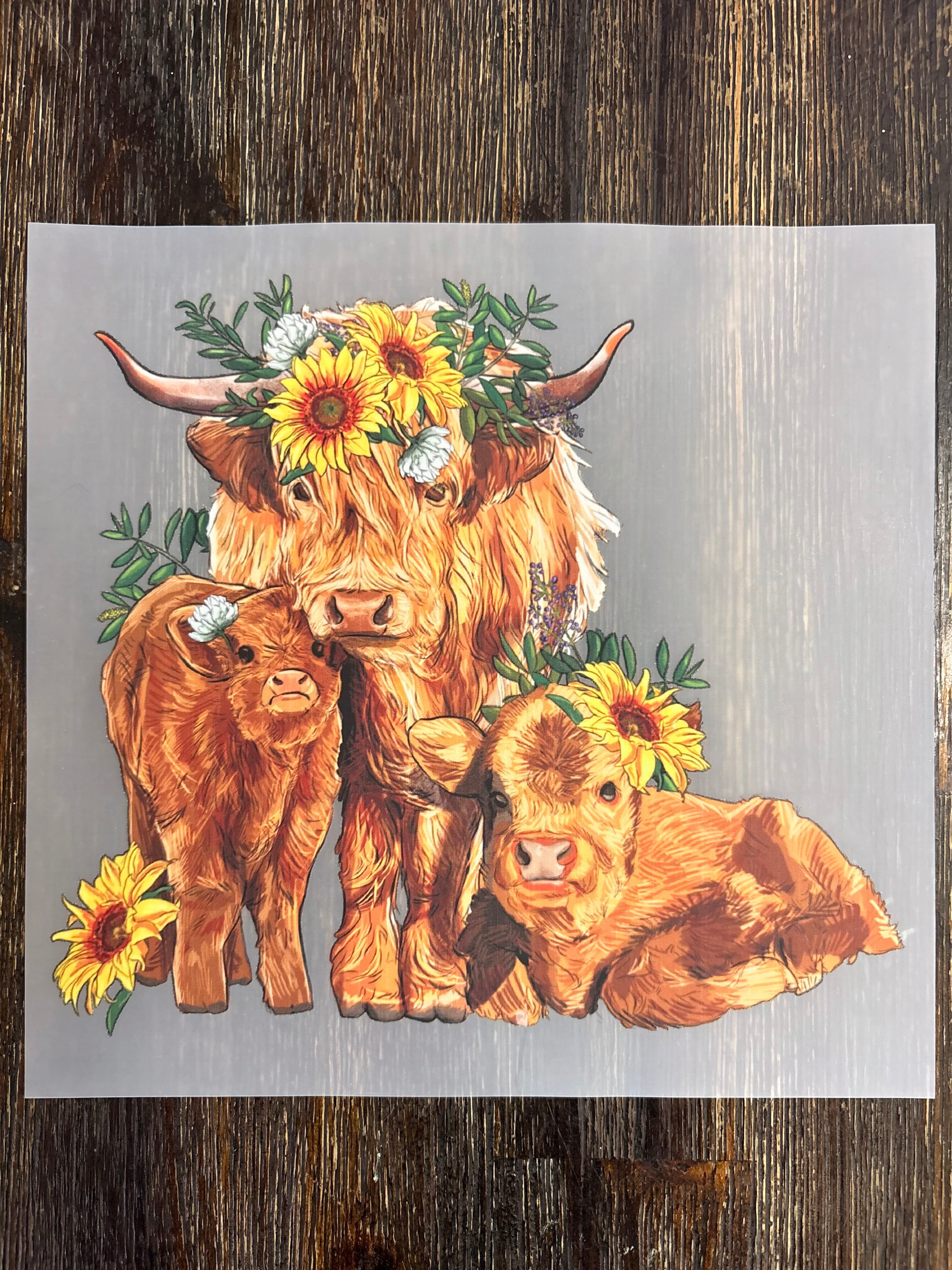 Highland Cow DTF Transfers