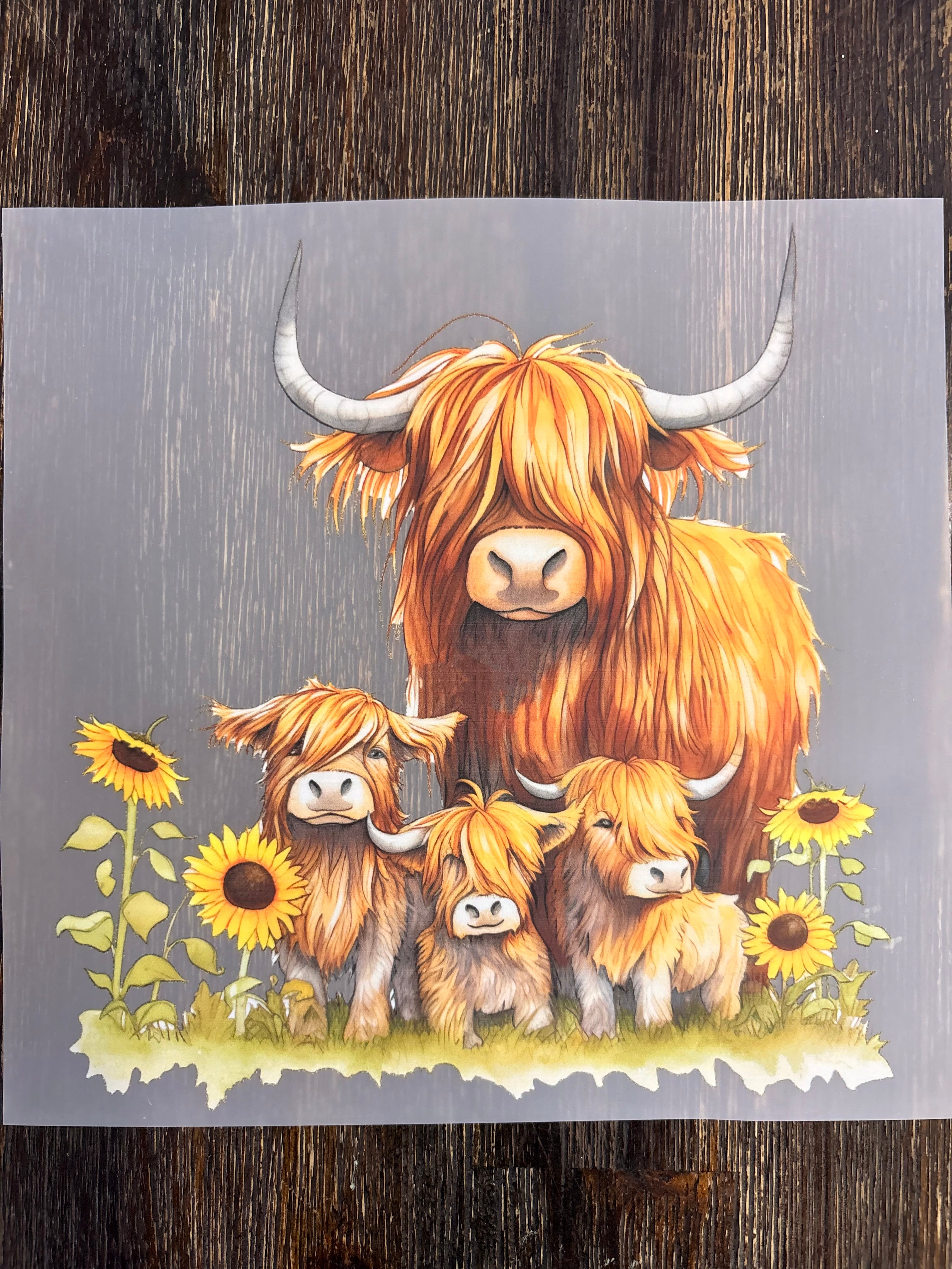 Highland Cow DTF Transfers
