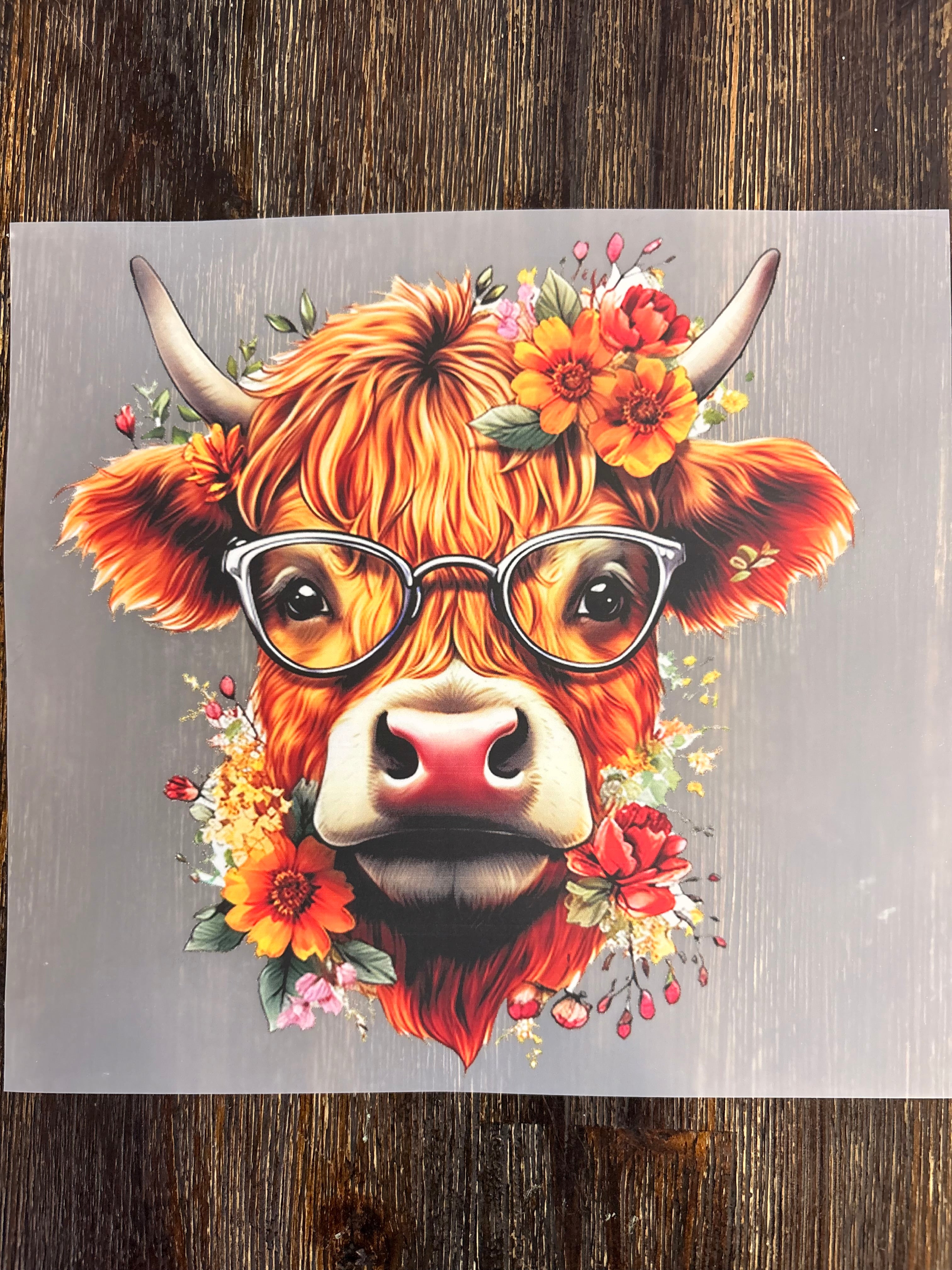 Highland Cow DTF Transfers